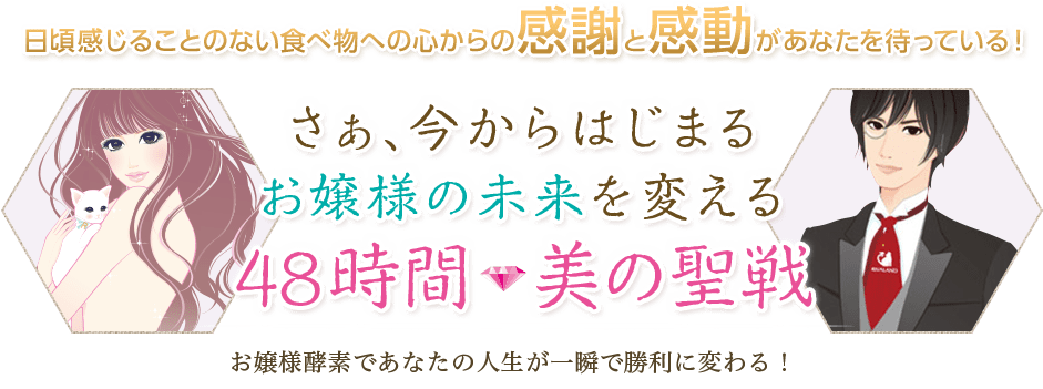 さぁ、今からはじまるお嬢様の未来を変える48時間 美の聖戦