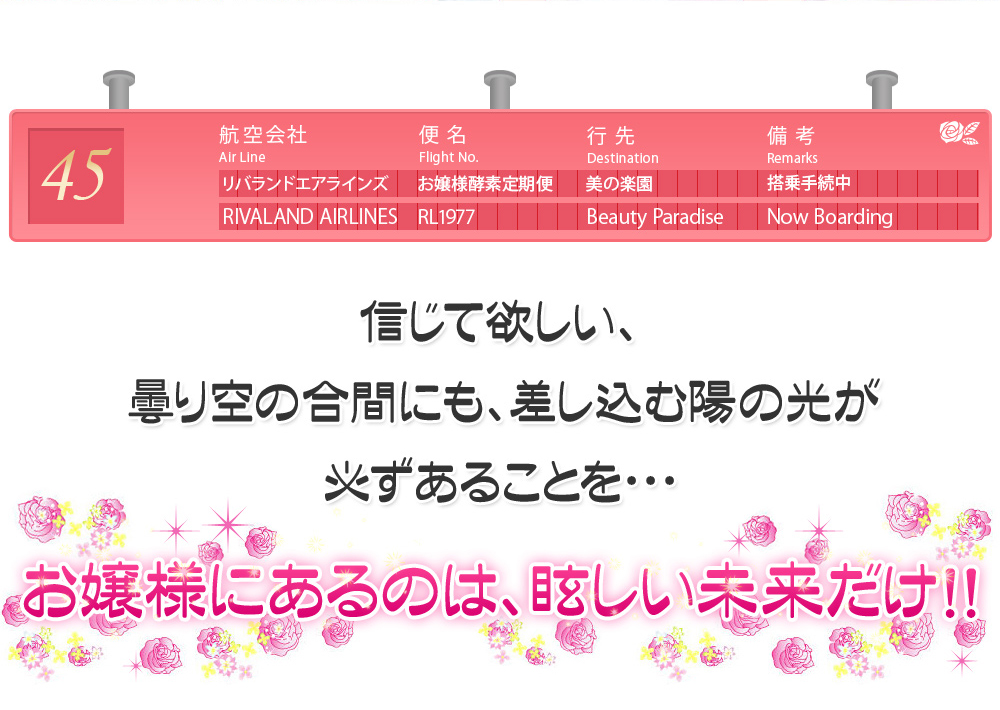 信じて欲しい、曇り空の合間にも、差し込む陽の光が必ずあることを・・・お嬢様にあるのは、眩しい未来だけ！！